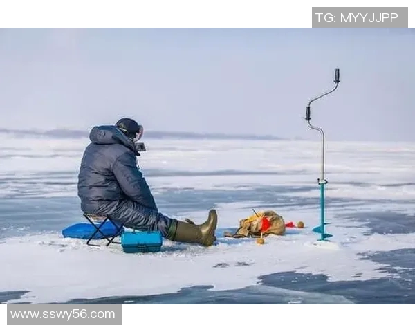 滑板新手必看：从零开始的速度提升与技巧全面指南