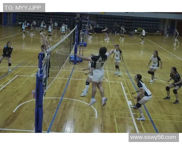 成都排球队团队协作新变革引发热议展现排球运动的魅力与精神