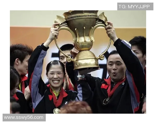 南京羽毛球队在杯赛中的状态分析与表现评估