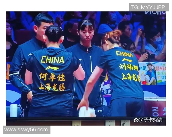 深圳乒乓球队实力深度剖析与各队员表现全面对比