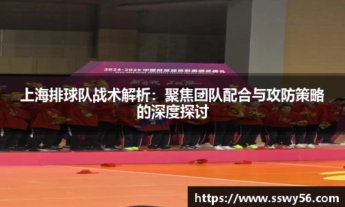 zoty中欧